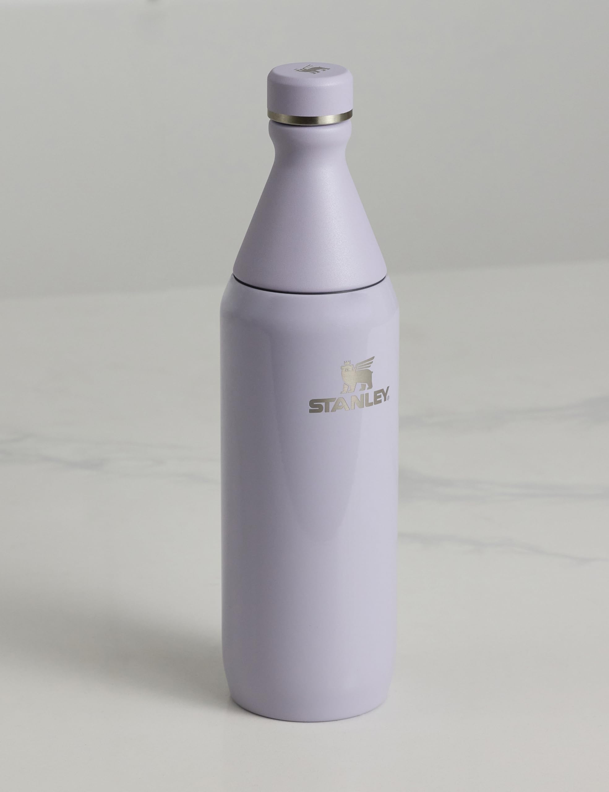 Amazon.com : STANLEY All Day Slim Bottle 20 oz | Twist On Lid with